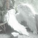 Autism 🌎🌾📸
