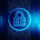 WGU Cyber Feb 1st 2025