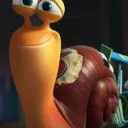 The Shell