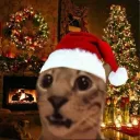 .gg/cat #ValeuNatalina 🎄