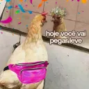 .gg/cat #bora aglomera 🎉