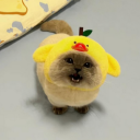 Criminomics [Value List] avatar