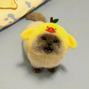 Discovery icon for Criminomics [Value List] Discord server