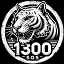 WT's 1300's TMM Discord