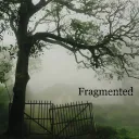 Fragmented