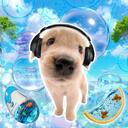 ⋆ Seapup Bay .ᐟ  ๋࣭⭑ Discord Server Icon