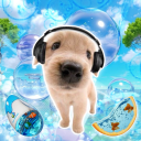 ✦⋆ Seapup Bay .ᐟ🦈๋࣭⭑ Discord server icon