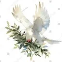 🕊 •°† Rising Dove Academy †°• 🕊