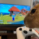 Capybara Zoo