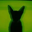 𝐌𝐔𝐒𝐇𝐑𝐎𝐎𝐌
