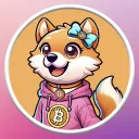 NINA Community