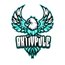 AktivPole Twitch Server