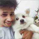 Vishay LIVE
