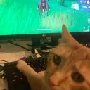 Game and Chill