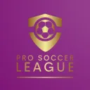 Rec Room Pro Soccer League | PSL