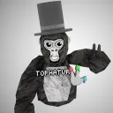 The Tophat Server