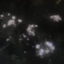 [🖤] SPIRIT CENTRAL