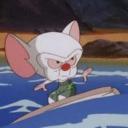 ANIMANIACS SERVER