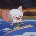 ANIMANIACS SERVER
