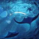 🐋 ⧽⊹   ethereal cove ˊ