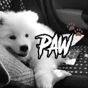 Paw 🐾 banner