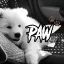 Paw 🐾