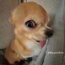 OFF