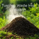 The Compost Corner