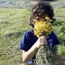 propaulx settings