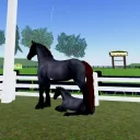 Fallen Stables