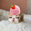 ᰍ  ݂  ׂ 𓈒 ノʚ 𝑦υׁm𝑑ɑׁꫀ ɞ   𑄾𝇂 .