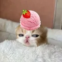 ᰍ  ݂  ׂ  ノ  yυmdɑe     𑄾𝇂 .