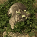 ̫   ◞  / ݊h𝑒ɑ𝑡h .  ִ ◞  ᭡ #revamp,rt3k