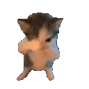 9nzBasement