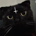 𝐍𝐔𝐊𝐄 𝐁𝐎𝐎𝐌  [ Kill ]