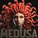 COMMUNITY Medusa Collective