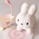 ۶ৎ﹒﹒𝒞ute𝘴t 𝒫atoo͠ties﹕✦