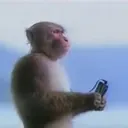 DONGBANANA