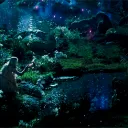 ⊹🔮୭ Eryndral y los cinco reinos. ⸙⿻᩠໋