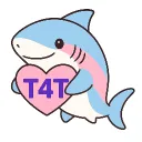 T4T & TransCommunity