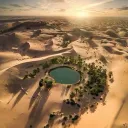 The Oasis