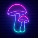 Project Vibe Discord Server Icon
