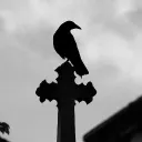 The Graveyard