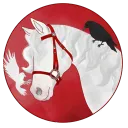 𝐃𝐲𝐧𝐚𝐦𝐢𝐜 𝐂𝐫𝐨𝐰𝐬 𝐎𝐒 (inactive)