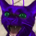 𝗣𝘂𝗴𝗴'𝘀 𝗞𝗲𝗻𝗻𝗲𝗹