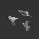 Aetherity Discord server icon