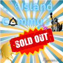 ‧₊˚ ꒰ Island Commu ꒱ 🗽