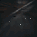 𝐃𝐢𝐞 𝐆𝐨𝐟𝐢𝐬