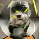 Napletek