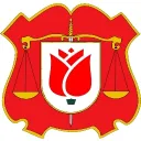 The Judicial Power